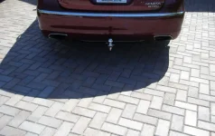 P4240730.webp