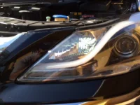 photo 1 (3).webp