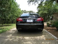 Genesis rear #4.webp