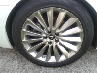 wheel2.webp