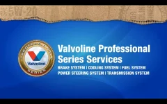 Screenshot_20210321-010753_YouTube.webp