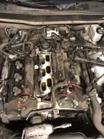 09CA200D-D7C4-4391-89DE-6CCDA2D9E6FD.webp