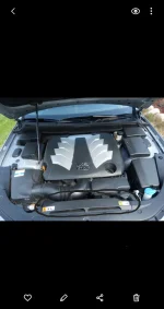 Screenshot_20211221-151420_Gallery.webp