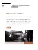 Genesis Connected Services Insult_redacted_001.webp