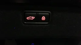 trunk.webp