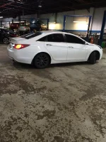 Sonata.webp