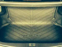 Trunk 1.webp