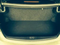 Trunk 3.webp