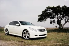 side shot 2.webp