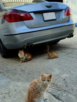 FB_IMG_1655968684914.webp