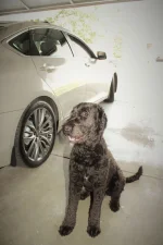 genny 4 11111.webp