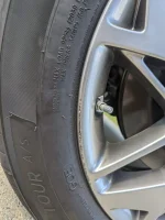 curb rash.webp