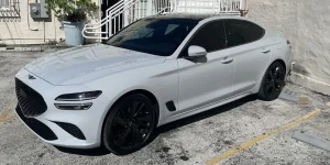 IMG-8558.webp IMG-8558.webp