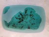 Genesis WW fluid gunk.webp