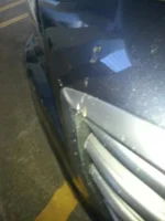 bumper_owie.webp