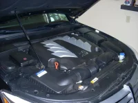 DSCN0374.webp