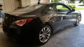 Genni Coupe.webp