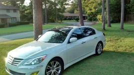 Genesis_gloss_roof3.webp