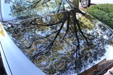 Hood Post Wax.webp