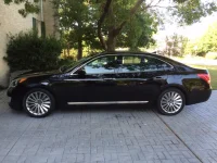 equus side.webp