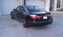 Genesis rear pic.webp