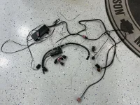 IMG-3390 (1).webp