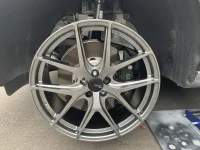 IMG_0769.jpeg IMG_0769.jpeg