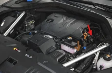 image.webp image.webp