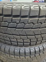 ICE GUARD 1.webp