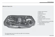 Genesis 4.6L Engine.webp