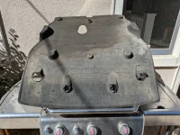 my shield photo.webp