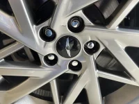 New Lugs.webp