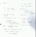 IMG_0230.webp