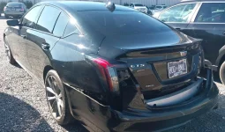 CT5 Rear.webp