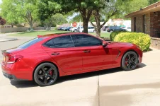 IMG_1443.webp IMG_1443.webp