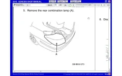 Bumper1.webp