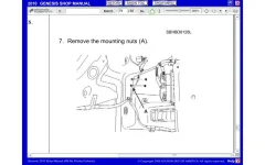 Bumper3.webp