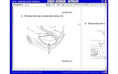 Bumper4.webp