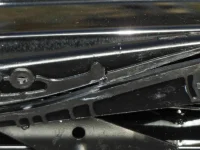 Closeup.webp