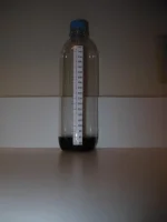 DSCN2178A.webp