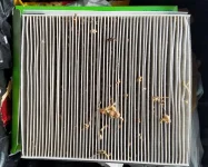 20170623_183058.webp