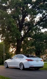 2017 (381x640).webp