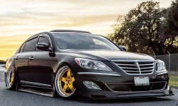 bumper gen.webp