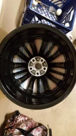 Genesis rim back.webp