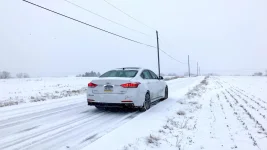 snow genny4.webp