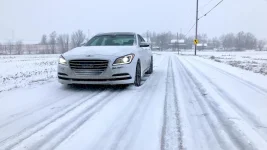 snow genny2.webp