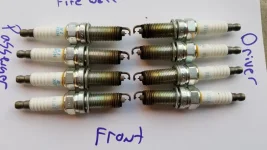 Genesis spark plugs.webp