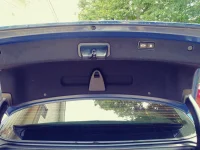 Trunk Image 2.webp Trunk Image 2.webp