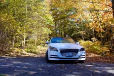 2015 Genesis.webp