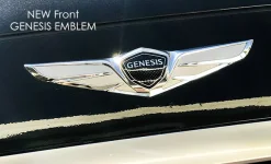 Front_wings.webp